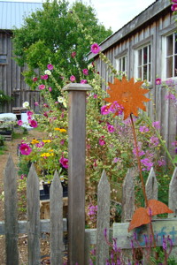 Shop and Barn